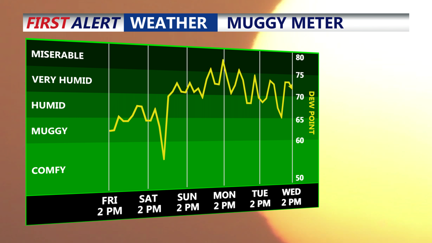 Muggy Meter