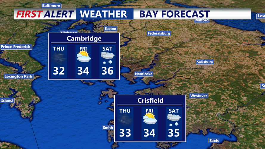 BAY FORECAST