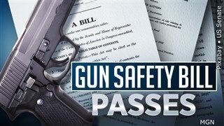 Gun Bill Passes