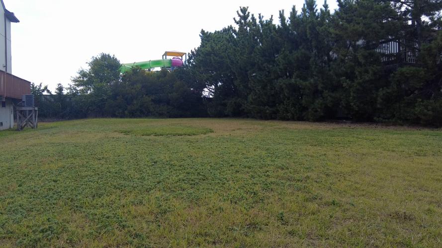 Land in Question