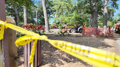 Workers removing trees and yellow "do not enter" tape.