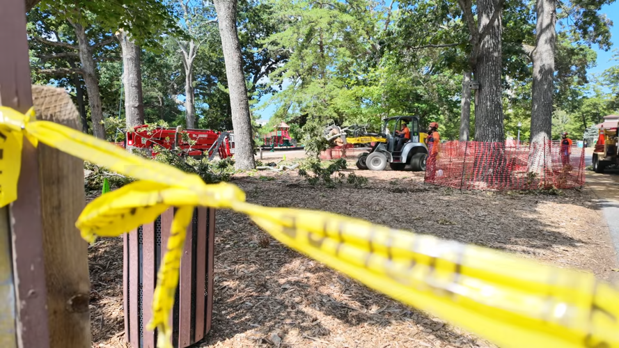 Workers removing trees and yellow "do not enter" tape.