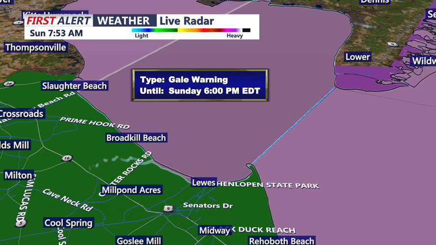 GALE WIND WARNING - SUSSEX
