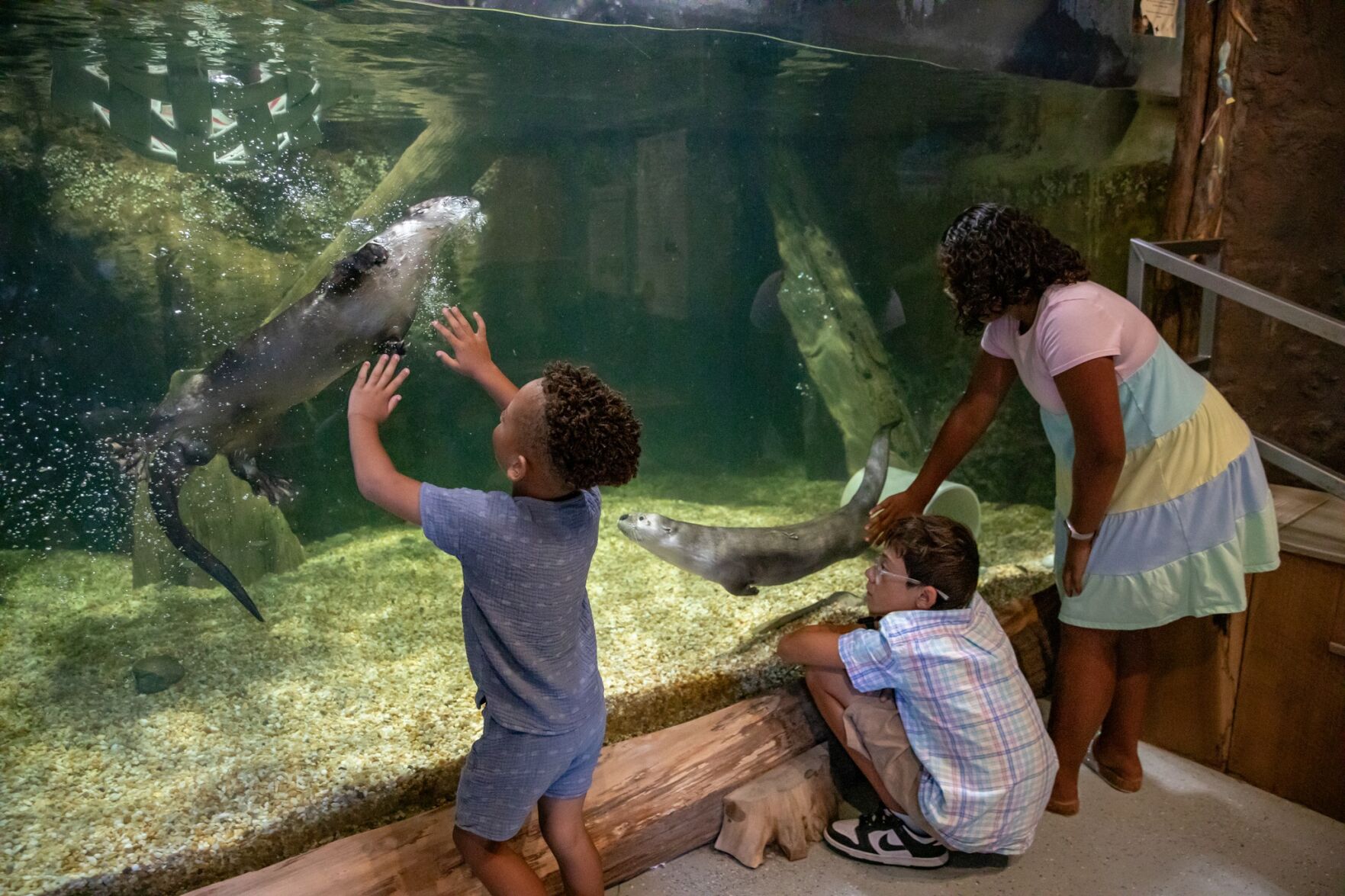Delmarva Discovery Museum to close after financial struggles mount