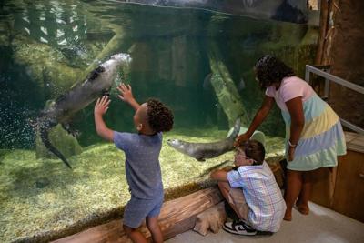 Delmarva Discovery Museum