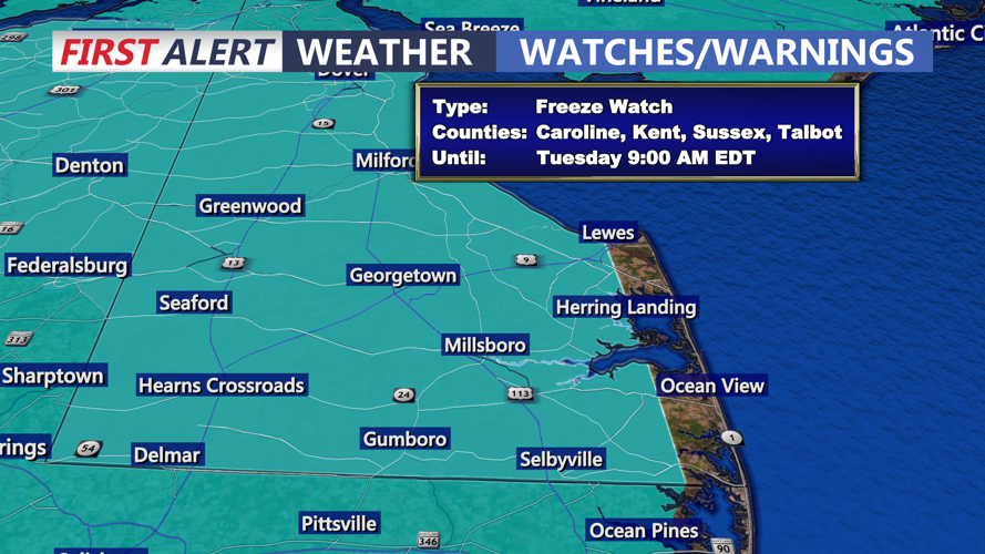 freeze watch