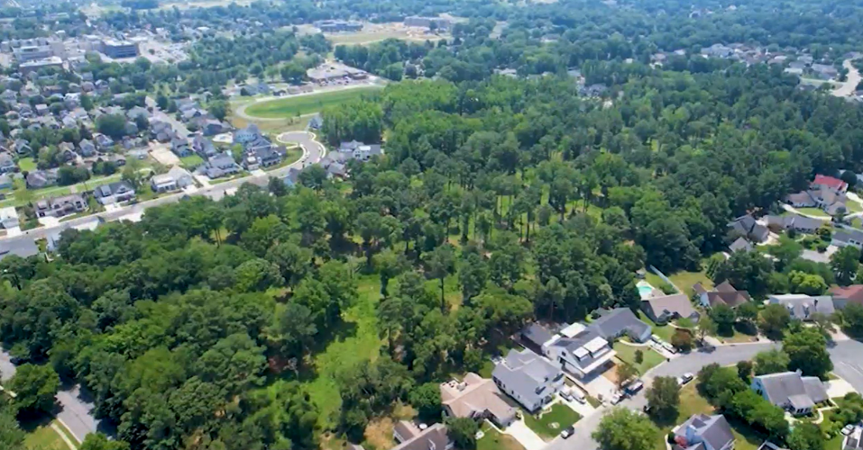 Fourth Street Forest