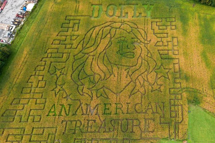 Dolly Parton Corn Maze
