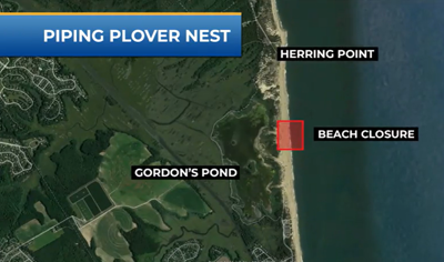 Piping plover nest closure area