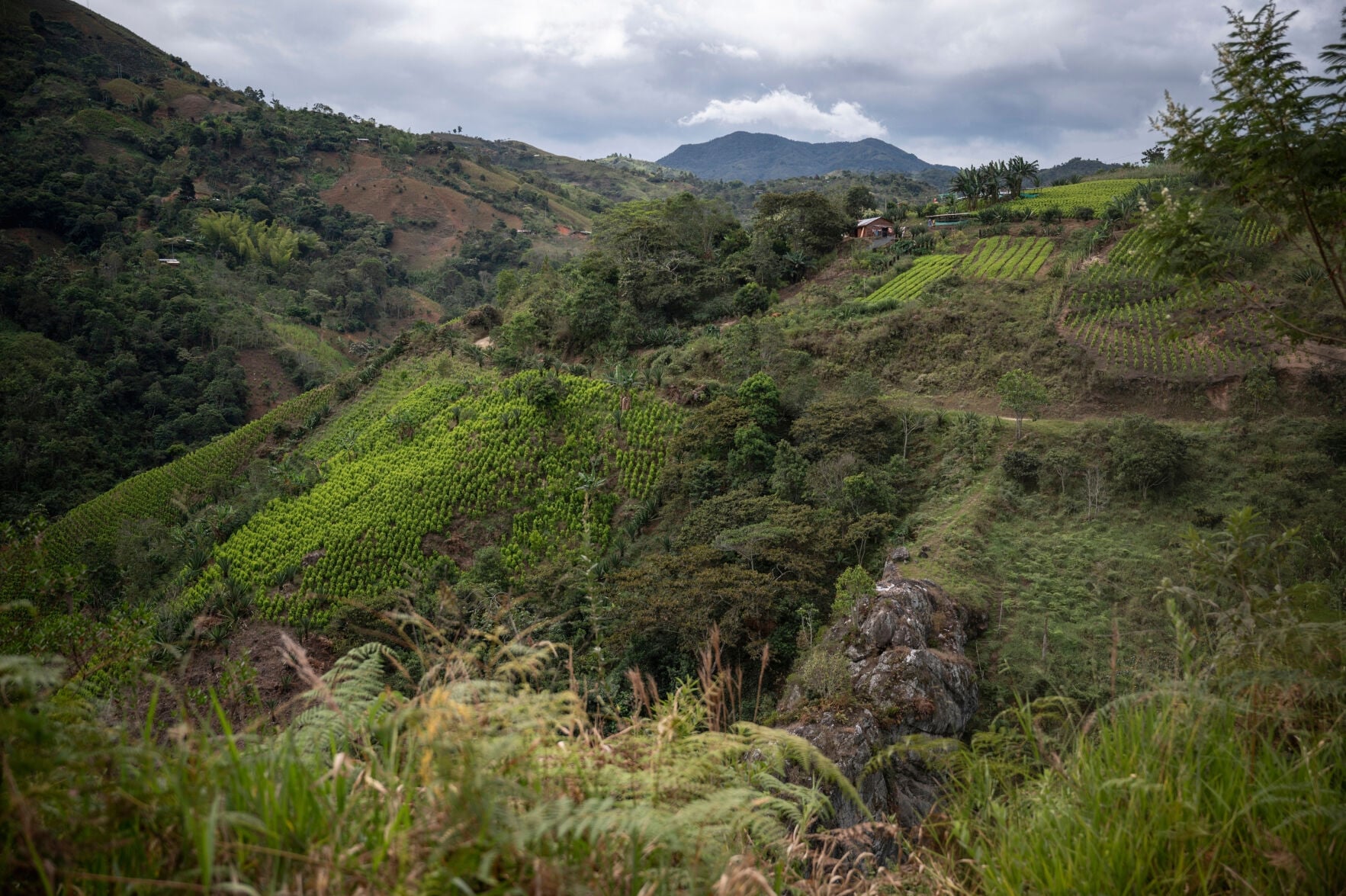 Climate Environmental Defenders Report