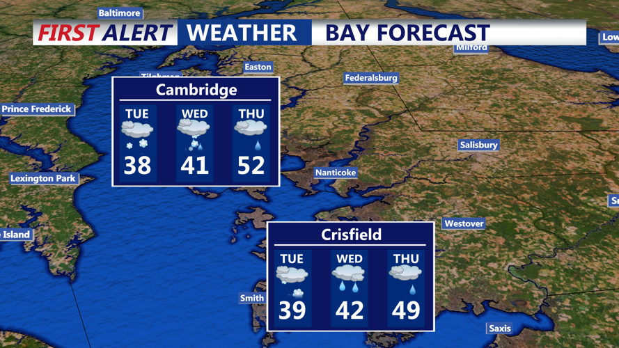 BAY FORECAST