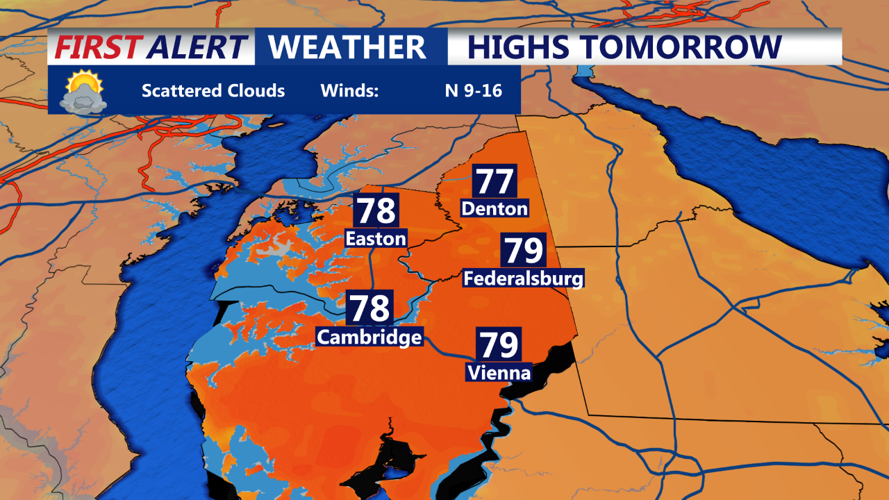 Cambridge Area Forecast