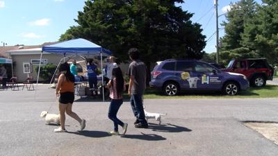 To improve access to animal medical care in the area, Humane Animal Partners hosted a mobile wellness event Wednesday at the First State Community Action Agency in Georgetown.
