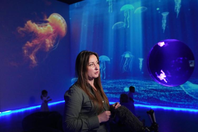 Florida Jellyfish Museum