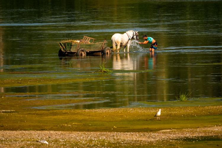 Extreme heat and drought take a toll around the world, in photos
