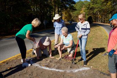 OPA pollinator garden
