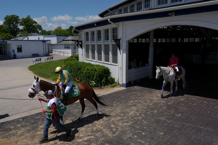 Photos of Laurel Park as storied track reaches final chapter