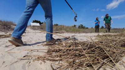 Coastal clean up (copy)