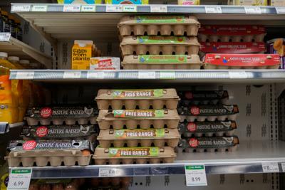 Egg Prices Settlement