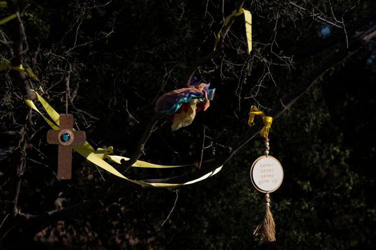 Savannah Guthrie Mom Missing