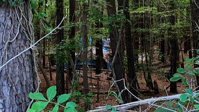 A tent in the woods near Savannah West Apartments in Lewes