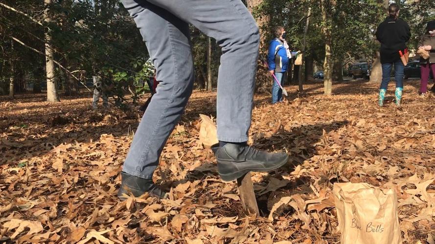 Rehoboth in Bloom Plants Colorful Flowers, Preparing for Spring