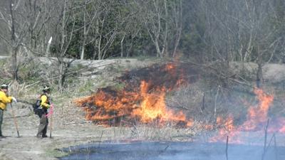 Controlled Burn Clears Harmful Species in 48 Acres of Coastal Marsh