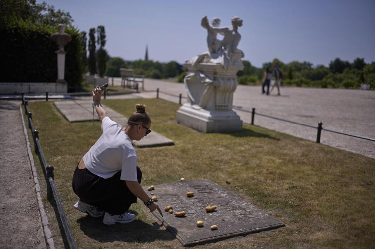 Germany Potato King Myth