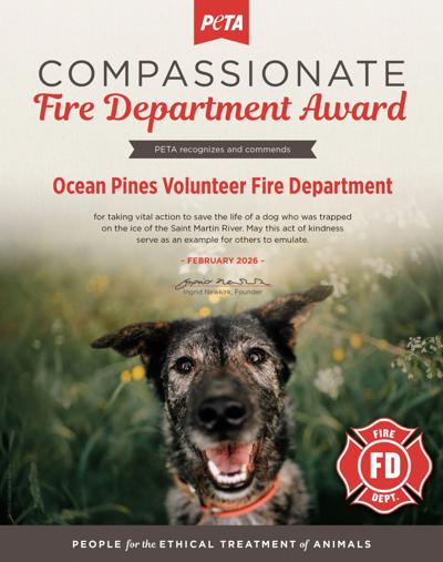 Compassionate Fire Department Award