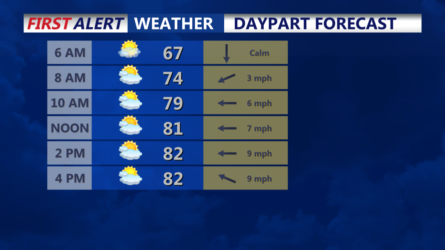 DAYPART FORECAST