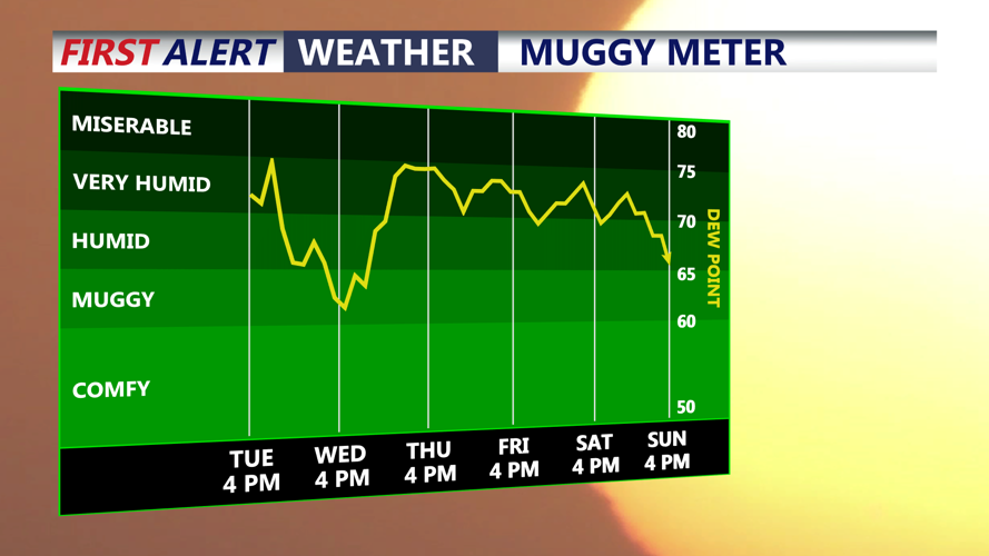 Muggy Meter