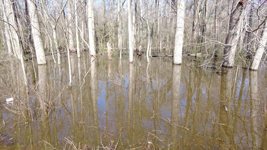 Flooding