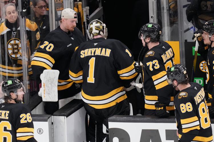 Sabres Bruins Hockey