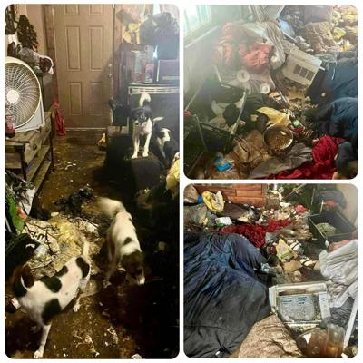 Grass Roots Rescue