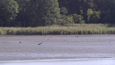 People who live on Indian River pushing for dredging