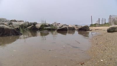 Indian River Bay dealing with sewage spill