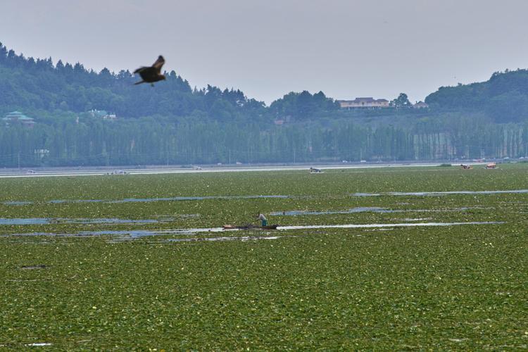 Climate Kashmir Lakes