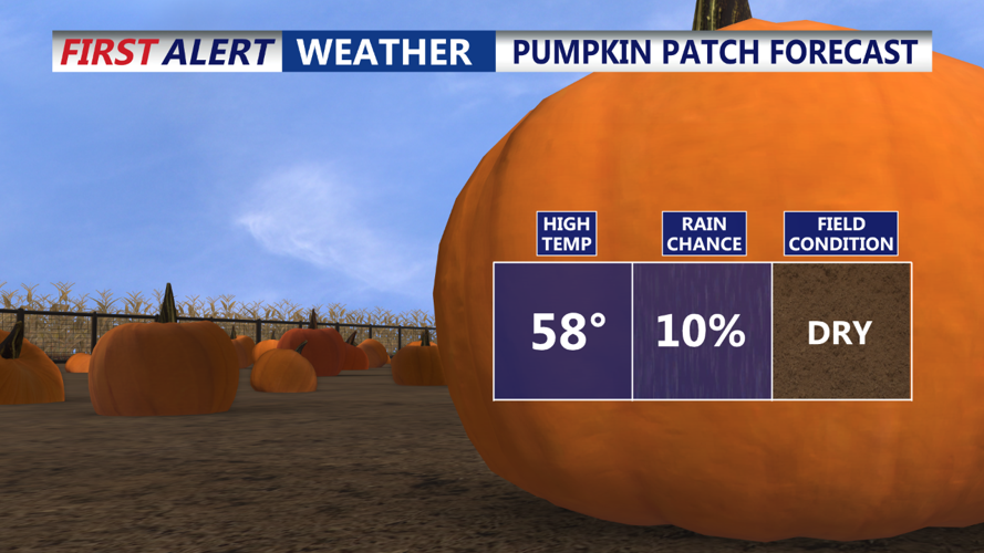 PUMPKIN PATCH FORECAST