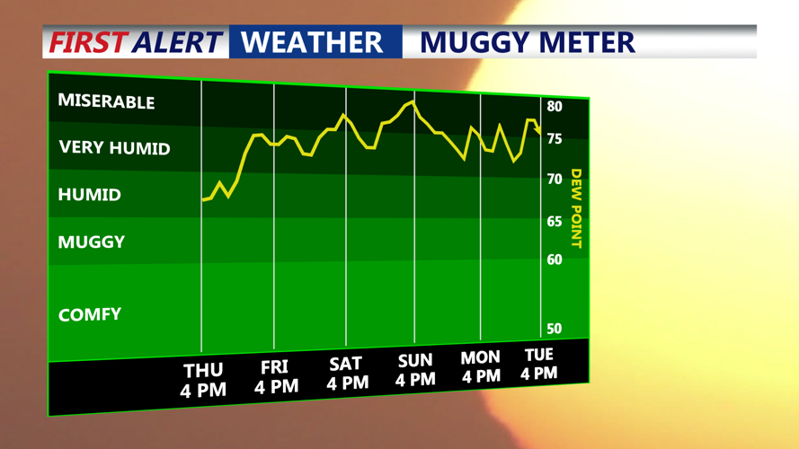 MUGGY METER