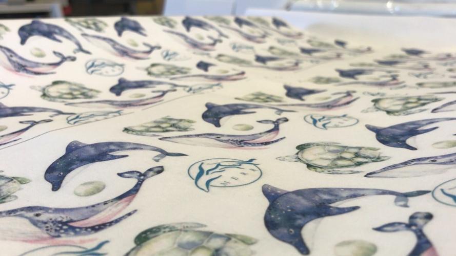 Face Coverings that Protect You and Marine Life