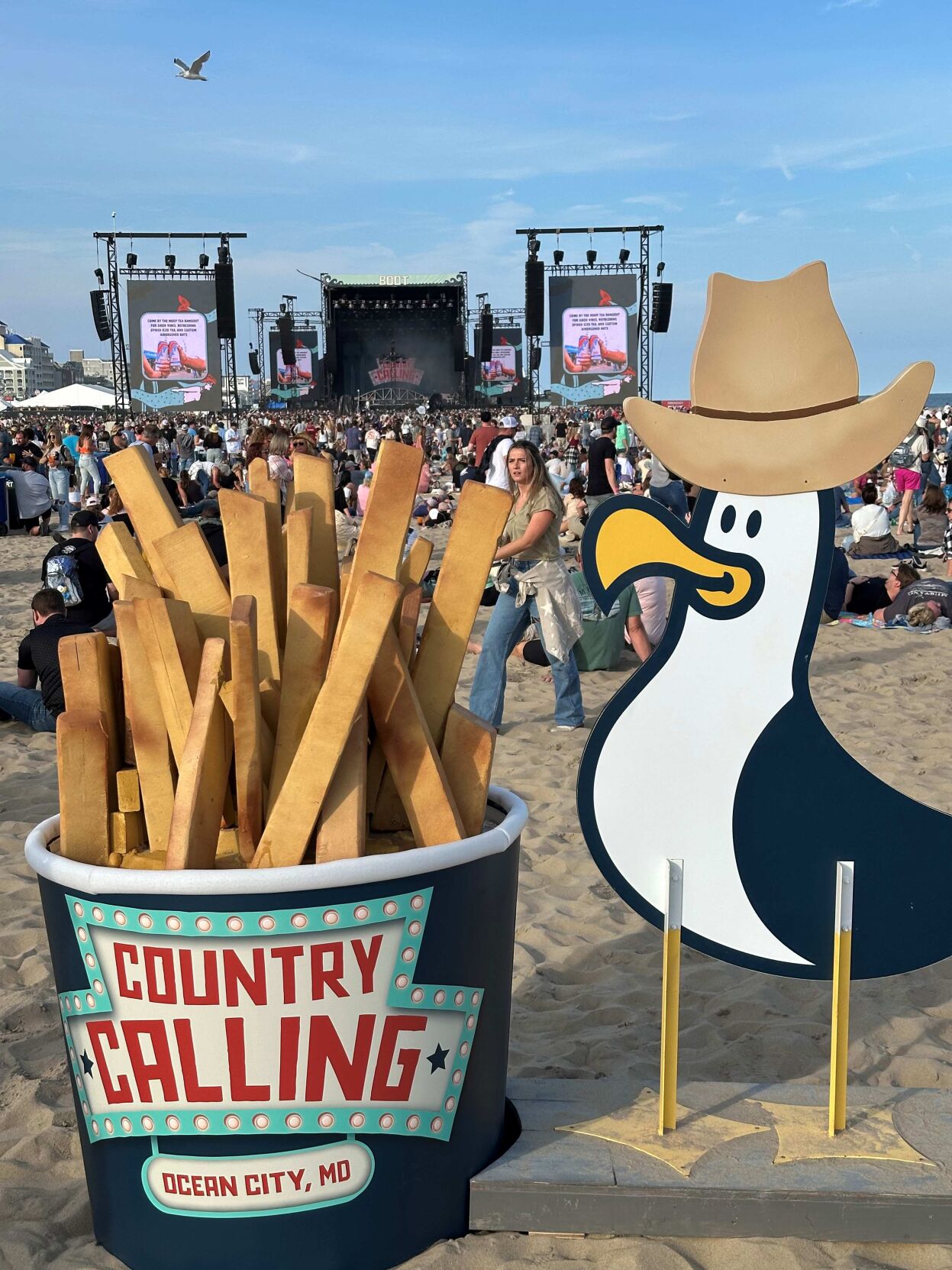 Seagull and French Fries