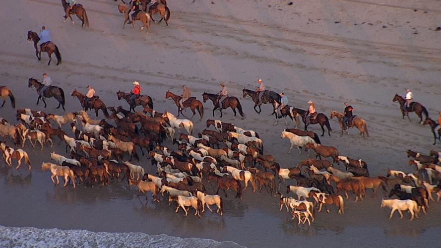 ponies from above.jpg