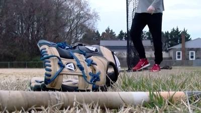 Little Leagues Across Sussex County Need an Assist in Finding Umpires