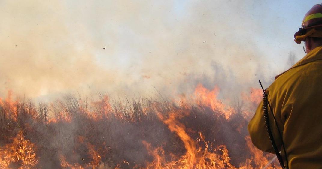 Maryland Burned By More Wildfires Than Usual In 2023 | News | coasttv.com