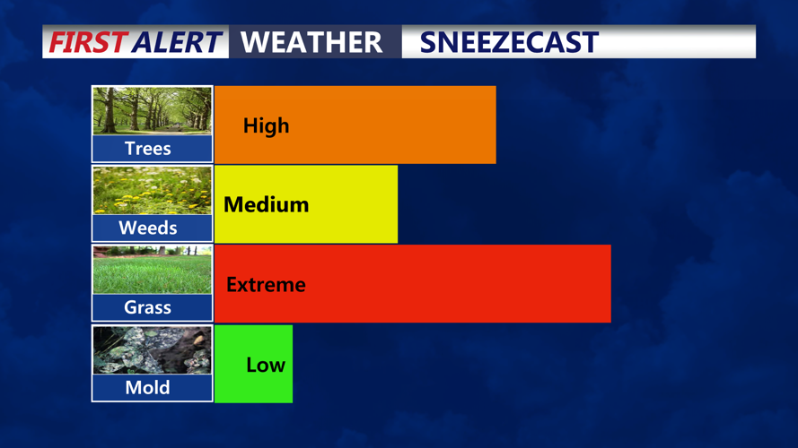 SNEEZECAST
