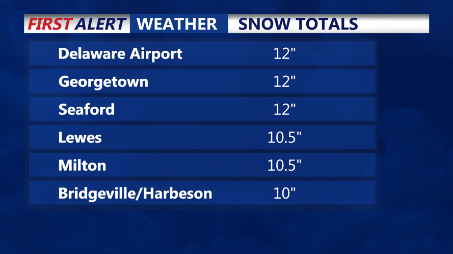 SNOW TOTALS 1