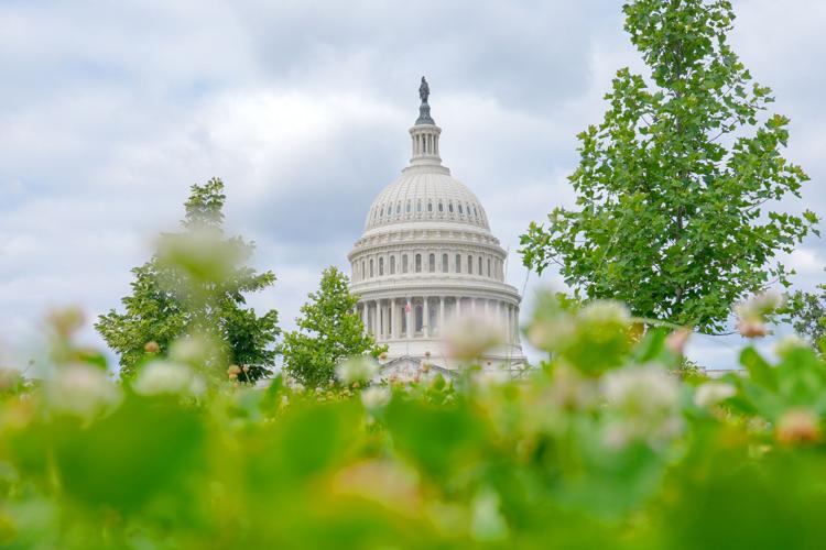 U.S. Capitol