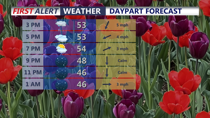 Daypart Forecast