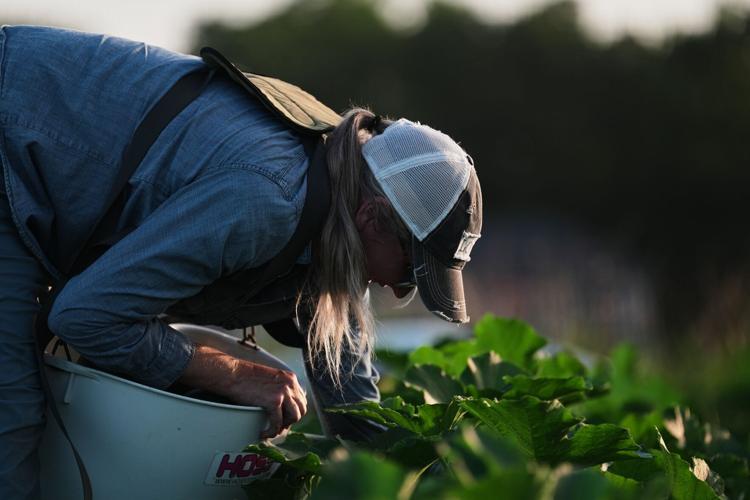 Climate Heat Specialty Crop Farms