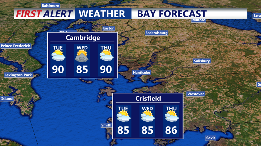 BAY FORECAST